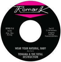 Ty Karim - Wear Your Natural, Baby / If I Can't Stop You  - Kent Repro 17 image